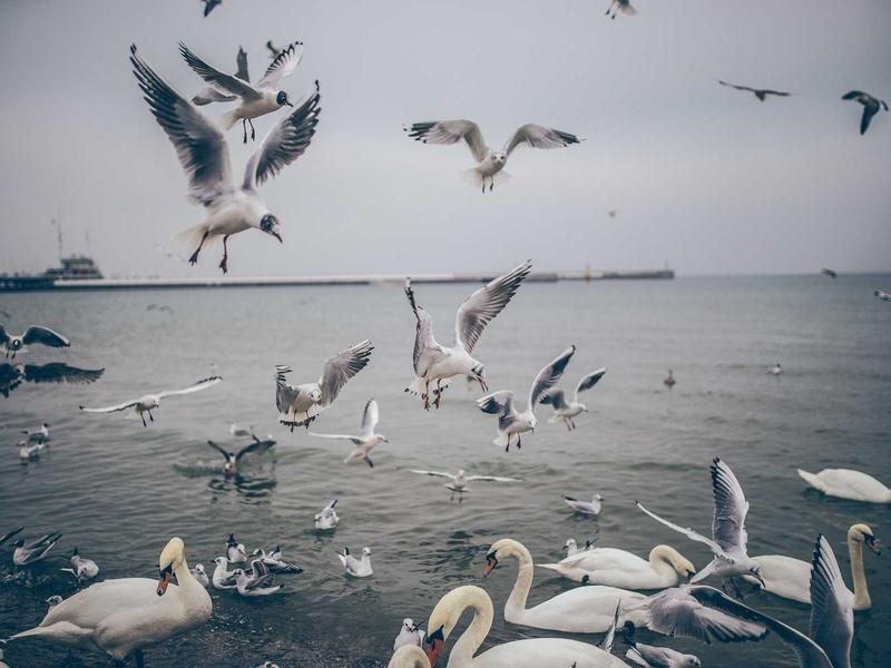 sudoku solution check screenshot 6